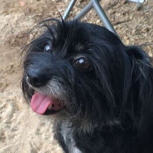 Meet your Posher, Brennen